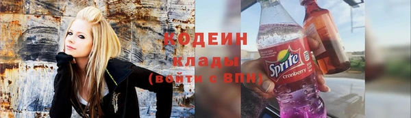 спиды Арсеньев