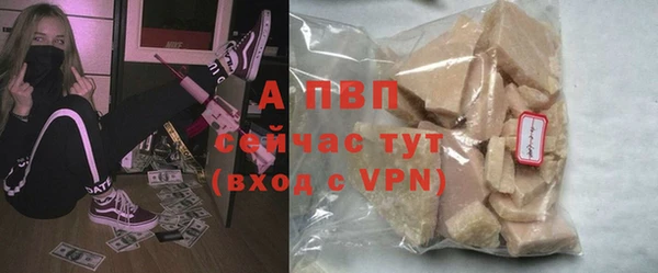 СК Богородицк