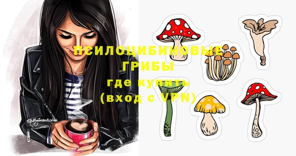 спиды Арсеньев